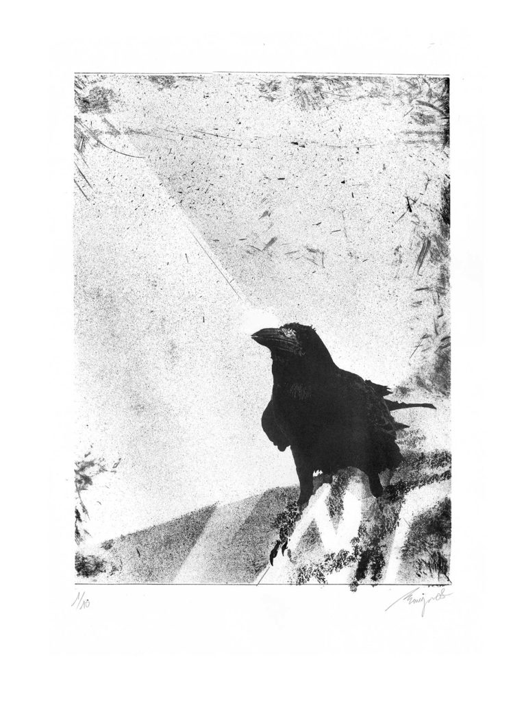 Lithographie d'Alain Ménégon Corbeau