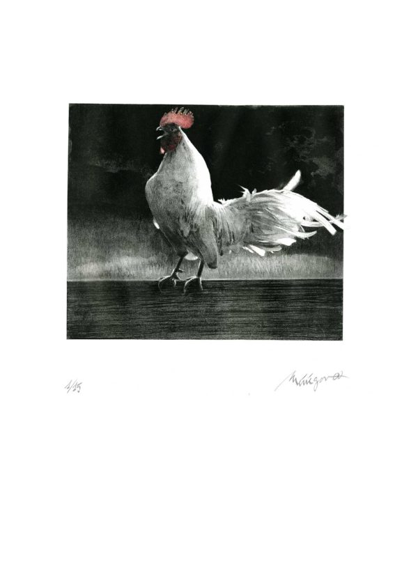 Lithographie d'Alain Ménégon Bestiaire Coq