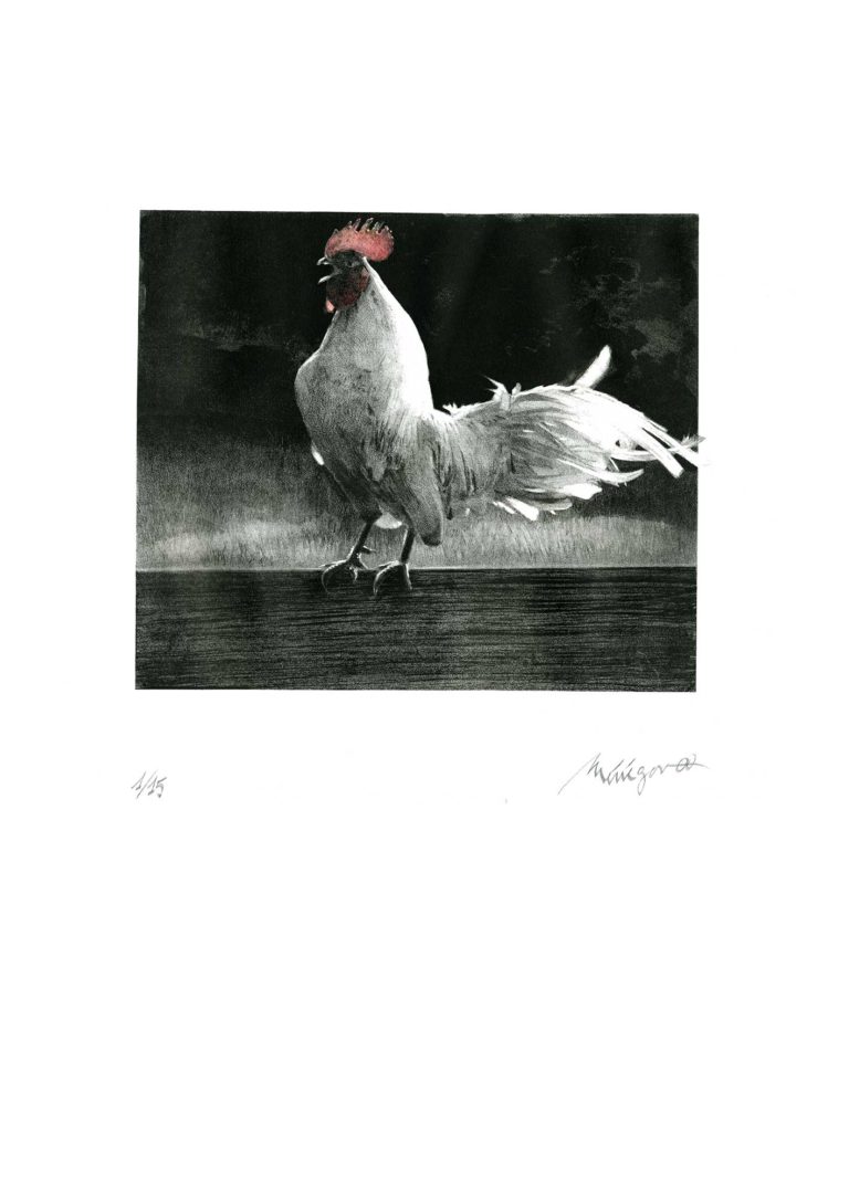 Lithographie d'Alain Ménégon Bestiaire Coq