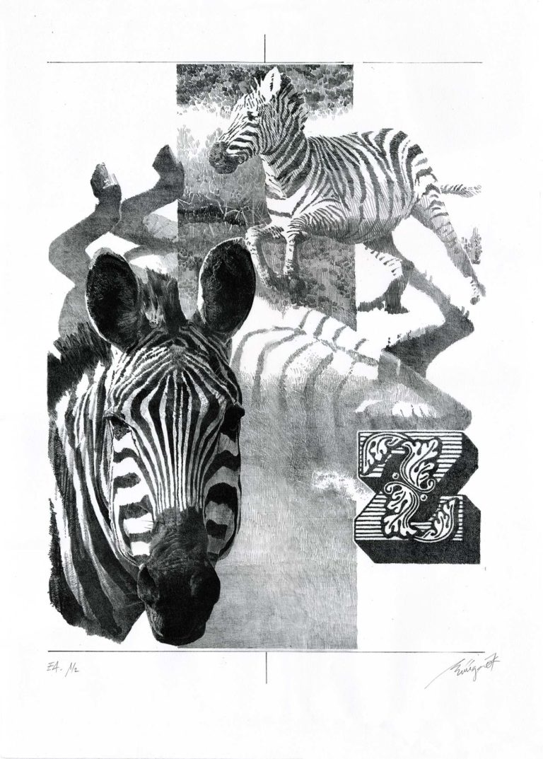 Lithographie d'Alain Ménégon Bestiaire Zébre