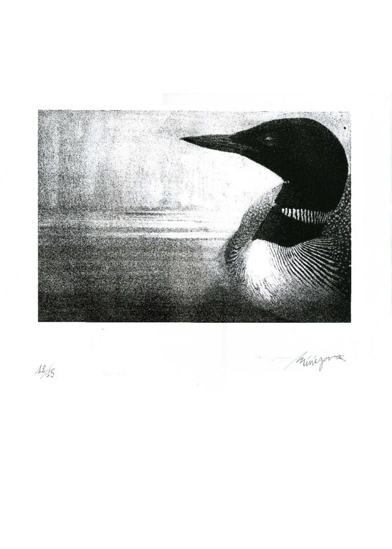 Lithographie d'Alain Ménégon Plongeon Canard