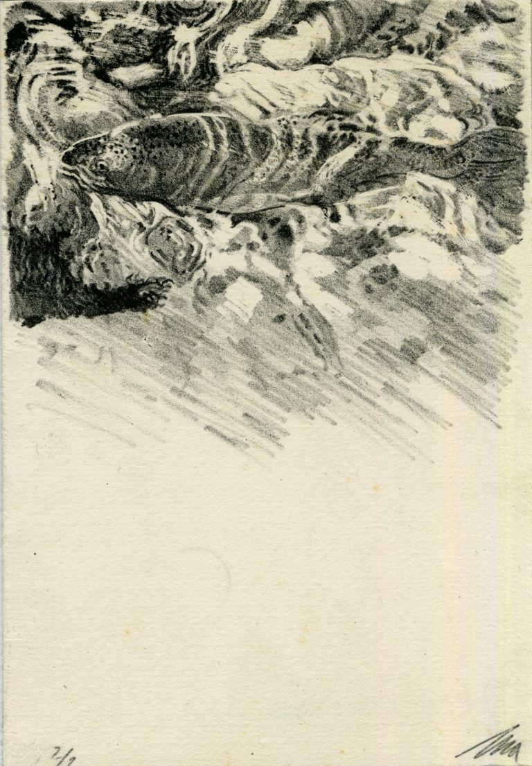 Lithographie Alain Ménégon Carte Pêche mouche