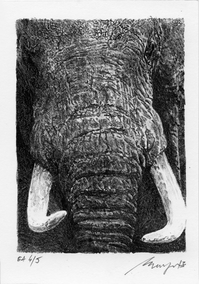 Lithographie Alain Ménégon Eléphant
