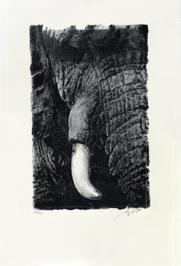 Lithographie Alain Ménégon Eléphant