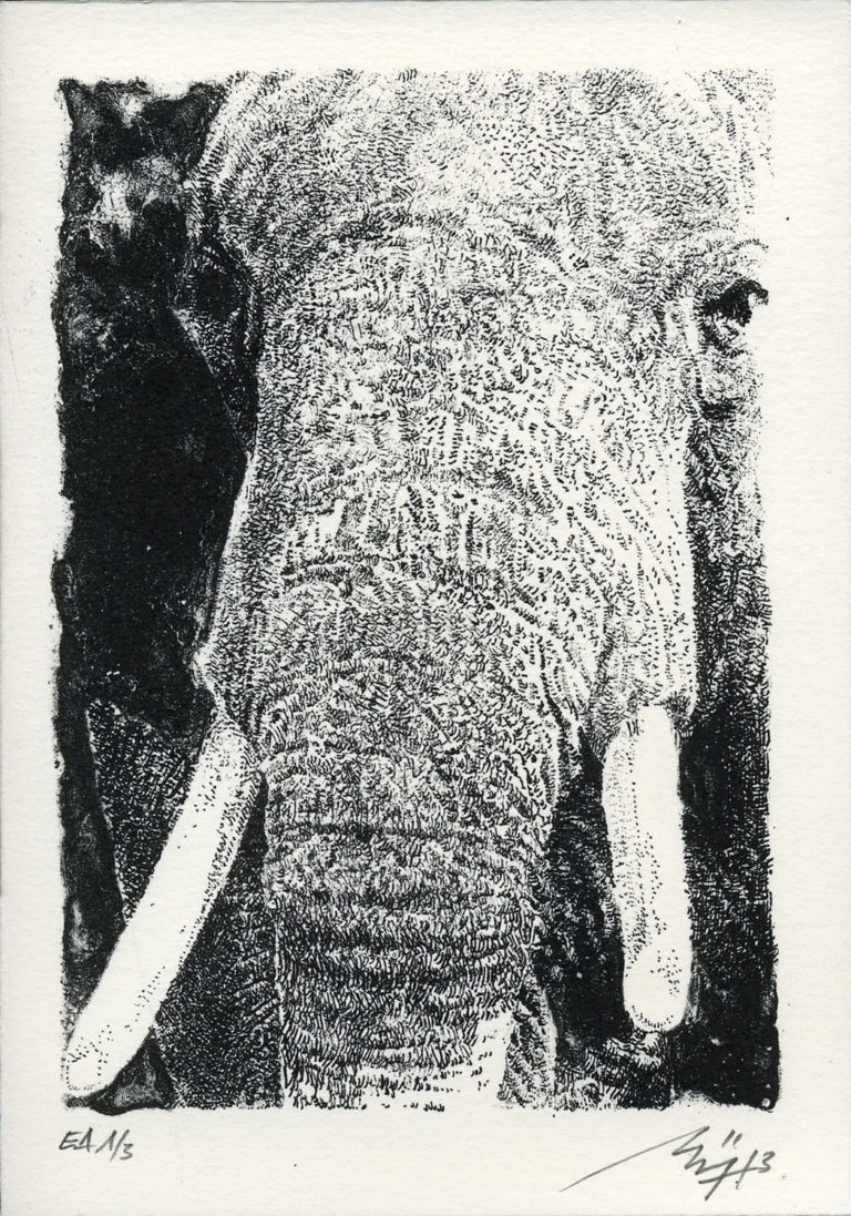 Lithographie Alain Ménégon Eléphant