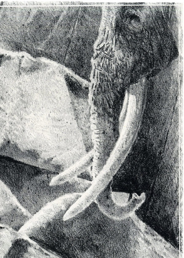 Lithographie Alain Ménégon Eléphant