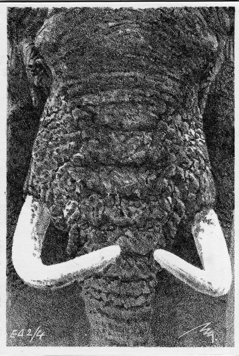 Lithographie Alain Ménégon Eléphant