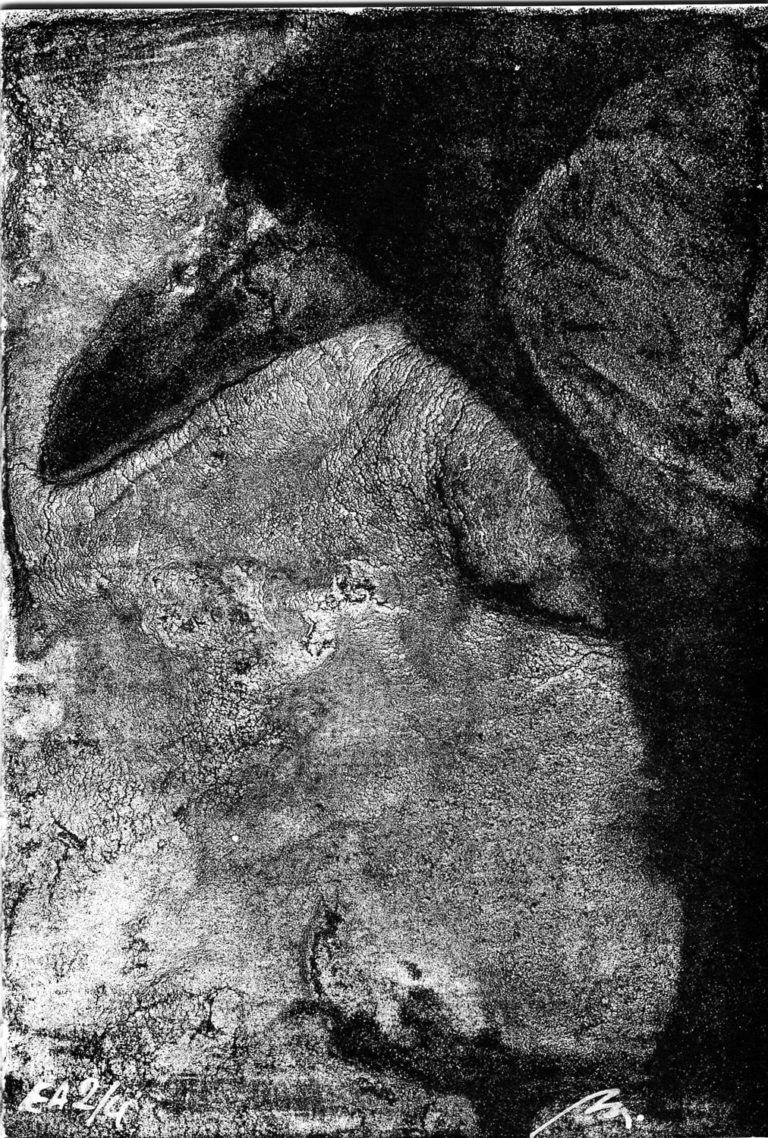 Lithographie Alain Ménégon Corbeau