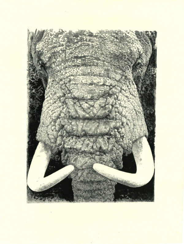 Lithographie Alain Ménégon Eléphant