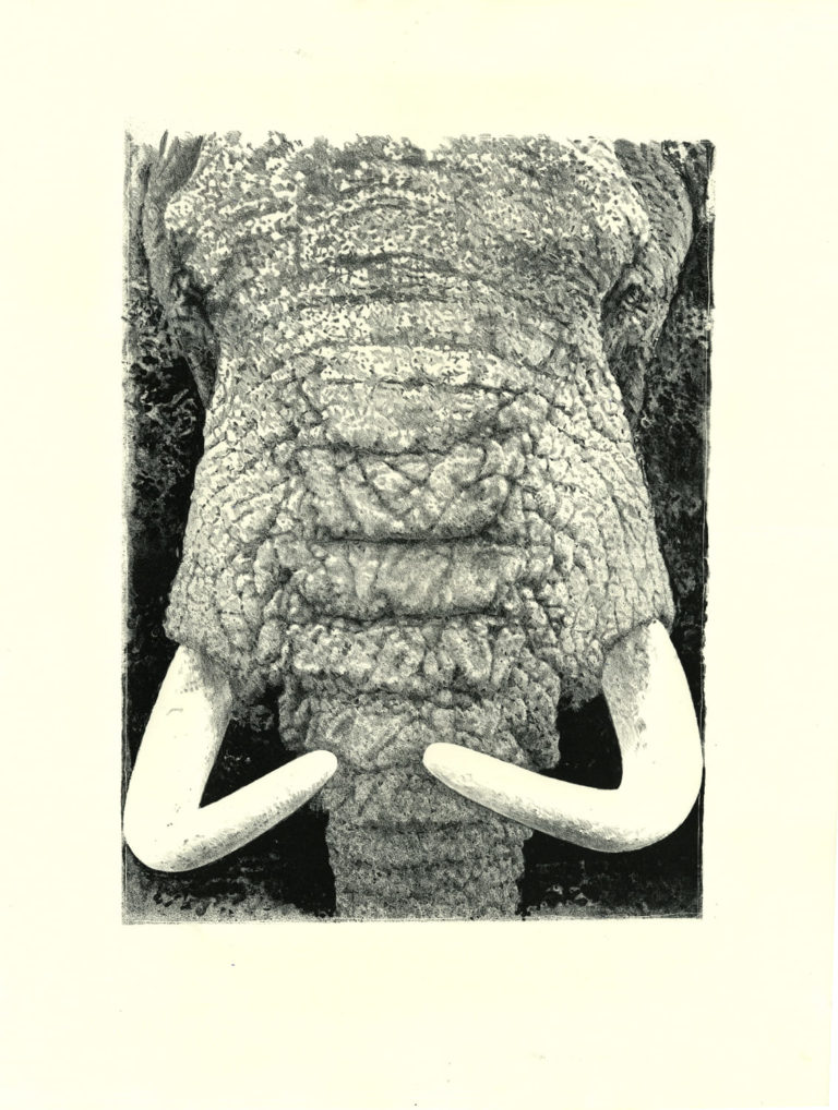 Lithographie Alain Ménégon Eléphant