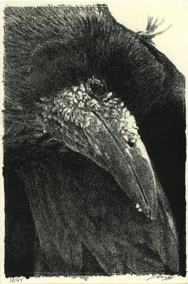 Lithographie Alain Ménégon Corbeau