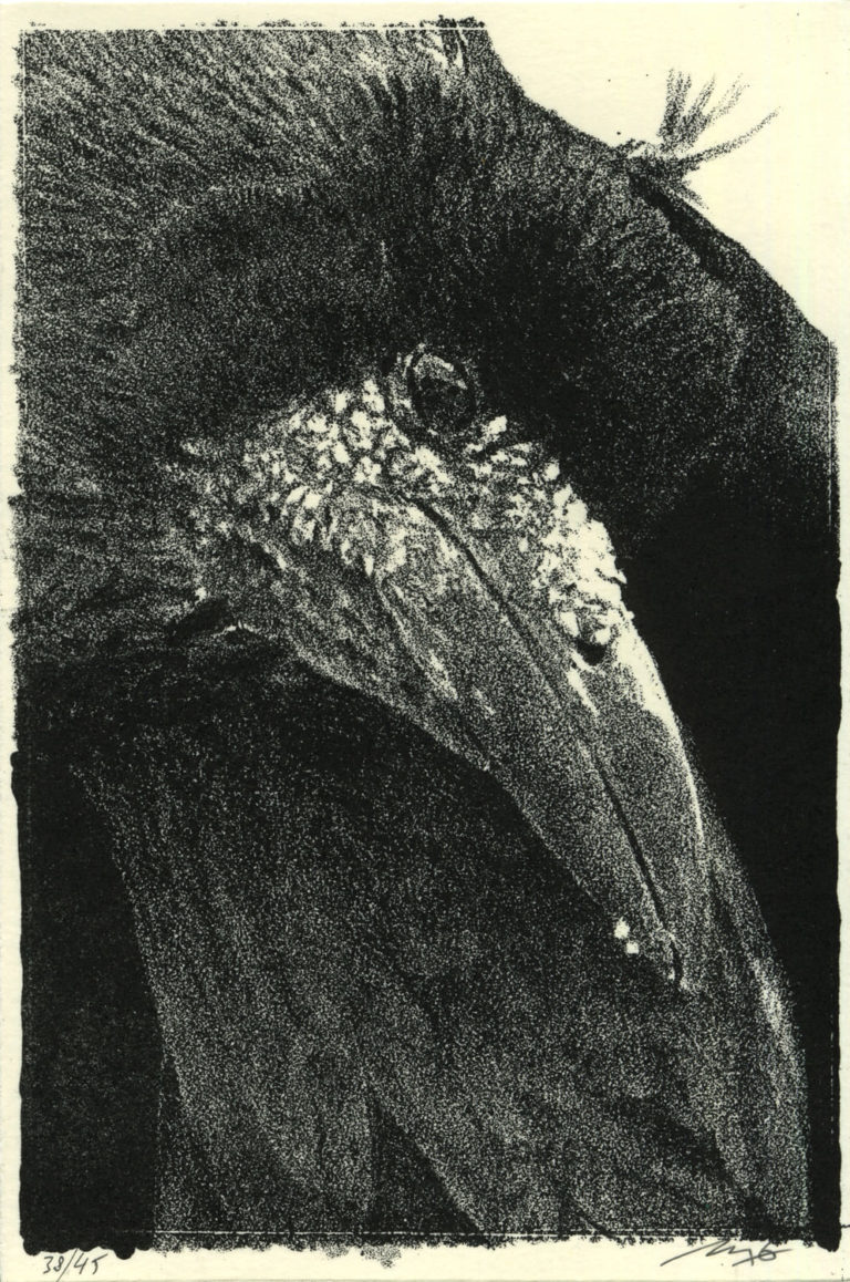 Lithographie Alain Ménégon Corbeau