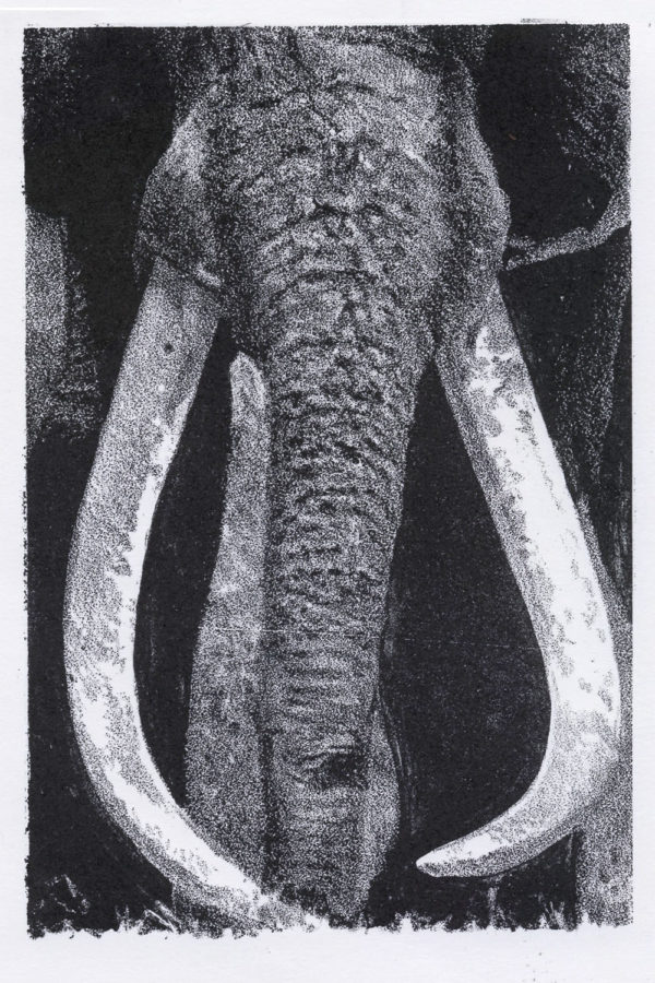 Lithographie Alain Ménégon Eléphant