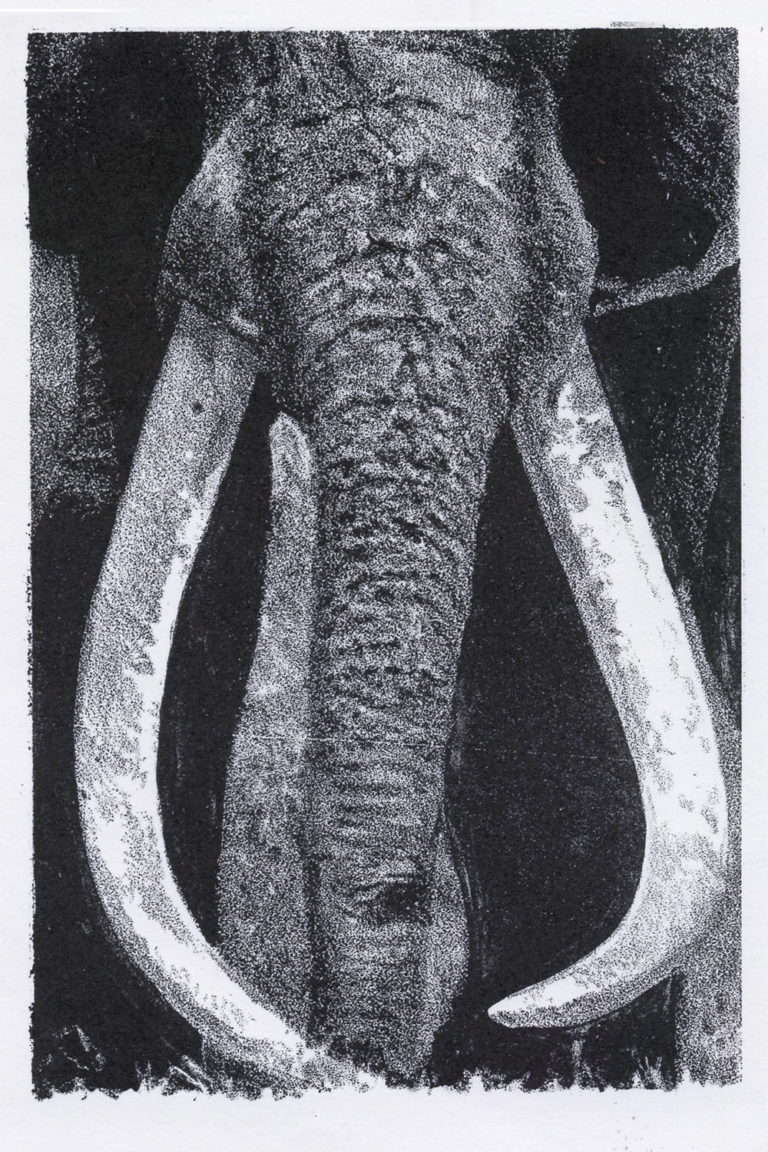 Lithographie Alain Ménégon Eléphant
