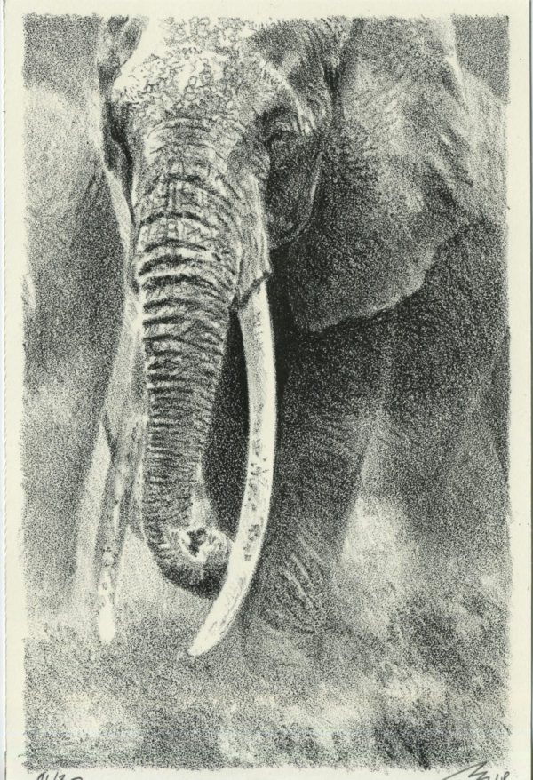 Lithographie Alain Ménégon Eléphant