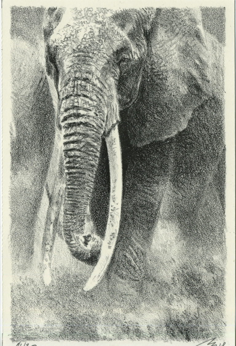 Lithographie Alain Ménégon Eléphant