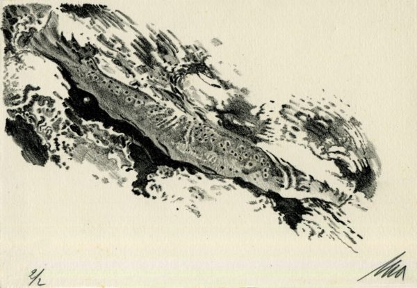Lithographie Alain Ménégon Carte Pêche mouche