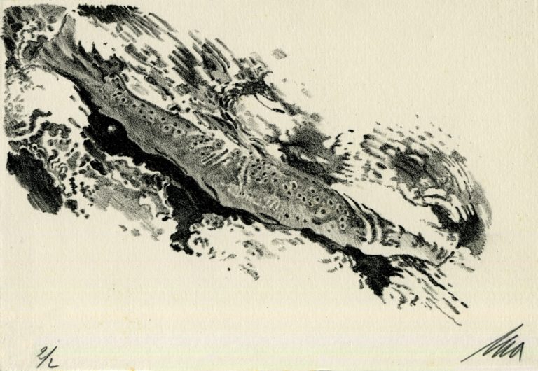 Lithographie Alain Ménégon Carte Pêche mouche