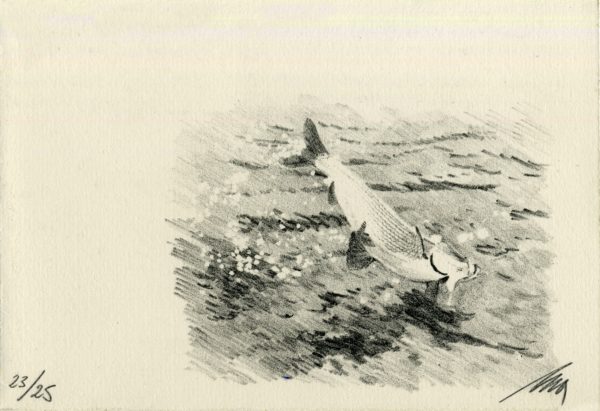 Lithographie Alain Ménégon Pêche mouche