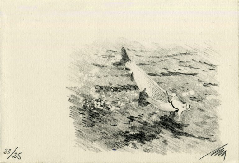 Lithographie Alain Ménégon Pêche mouche