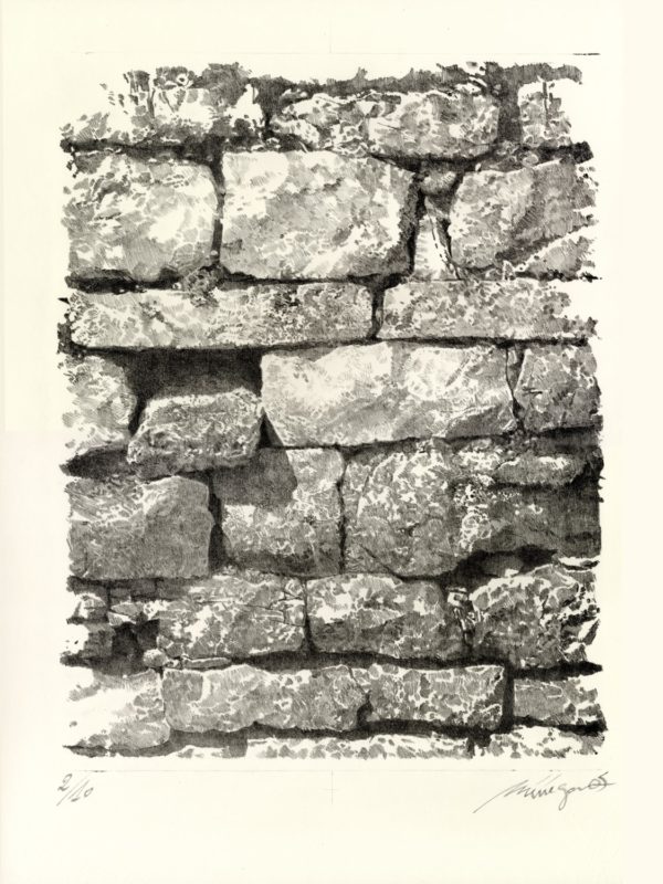 Lithographie Alain Ménégon Vue mur du jardin